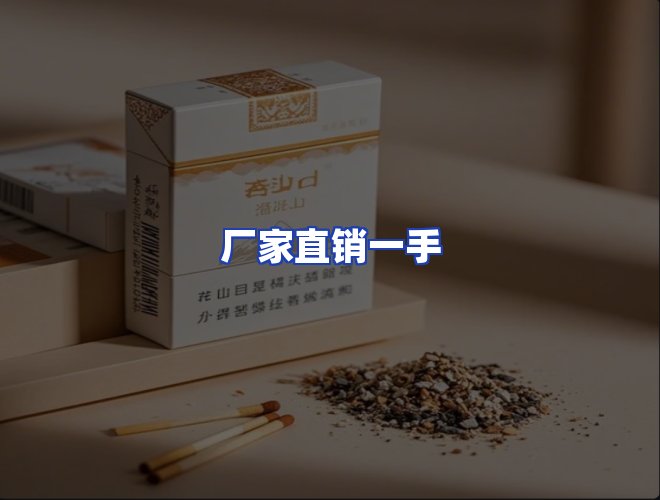 专业团队